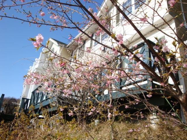 Hotel Liberty Hill à Itō Extérieur photo