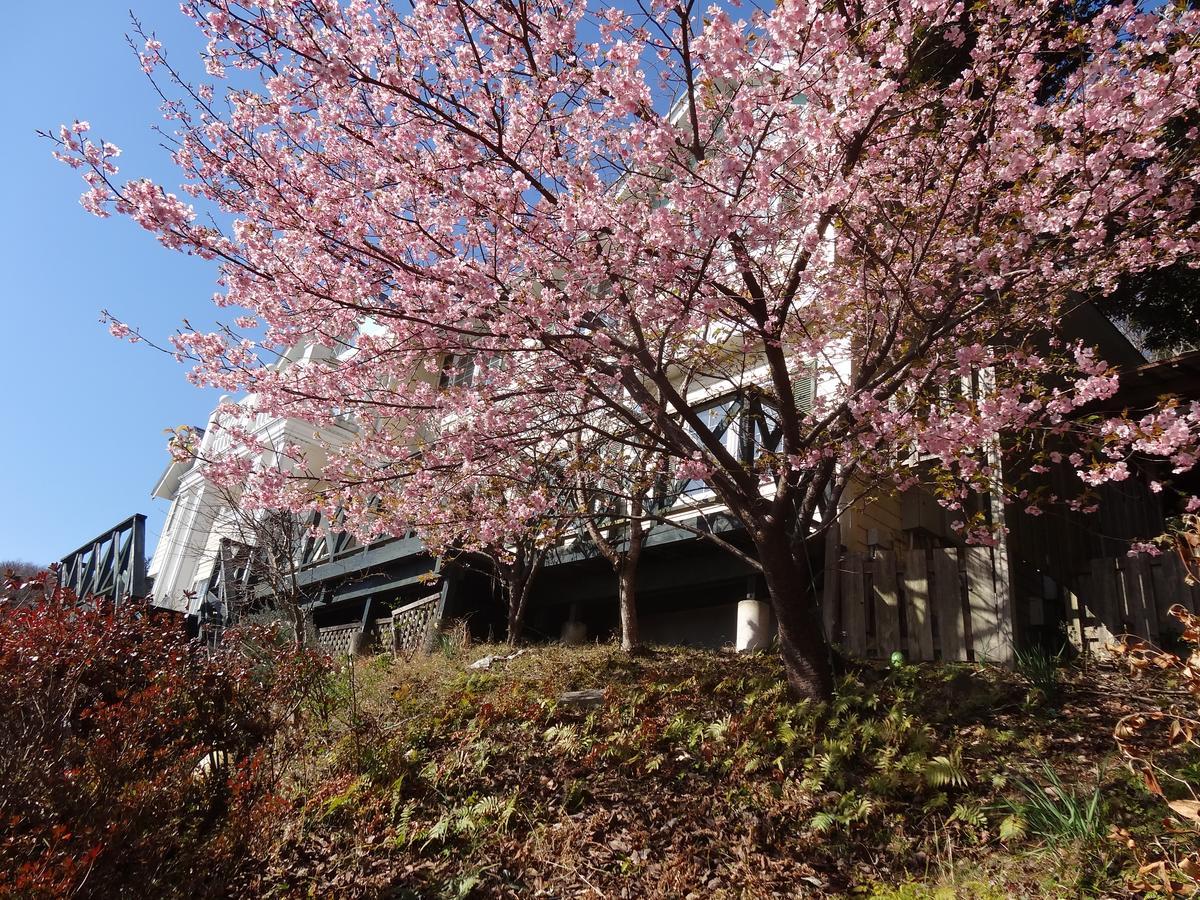 Hotel Liberty Hill à Itō Extérieur photo